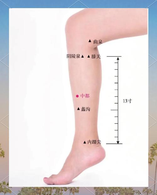 中医止痛穴位有哪些