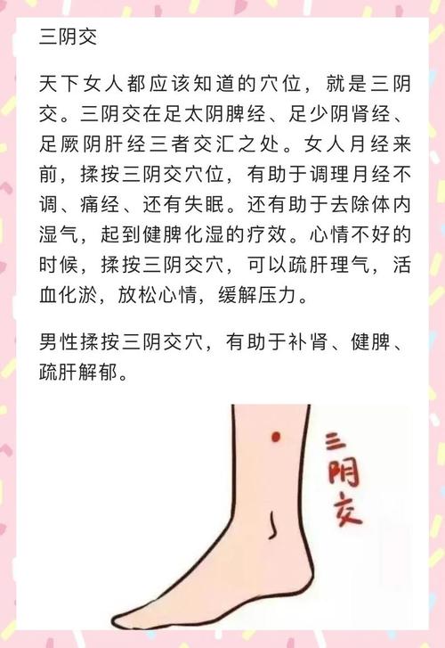 增强女性性兴奋穴位