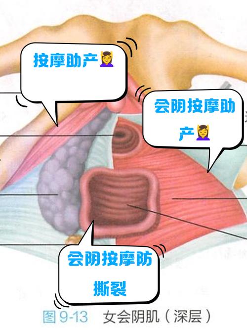 增强女性性兴奋穴位