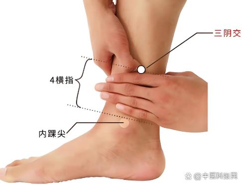 提高男性性欲穴位图