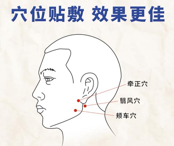 按摩颧骨下边的穴位