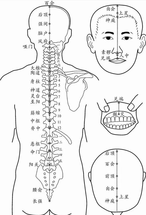 腰椎按摩哪个穴位图