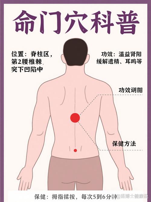 腰椎按摩哪个穴位图