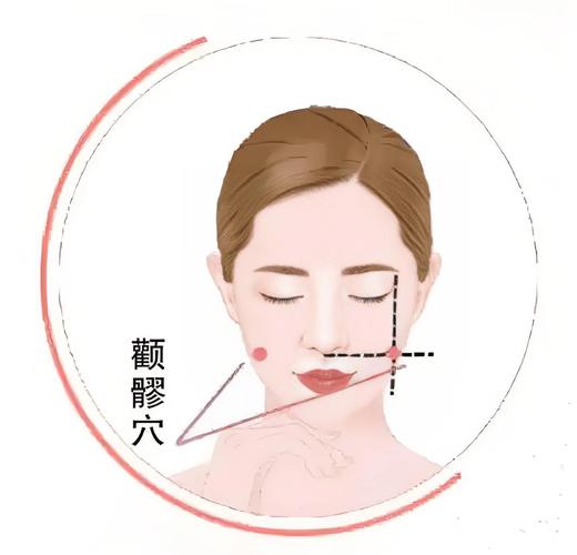 颧骨下面的美容穴位