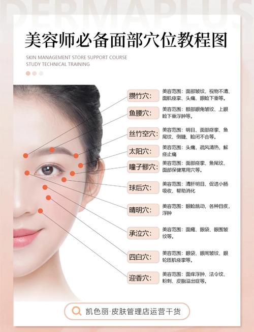 颧骨下面的美容穴位