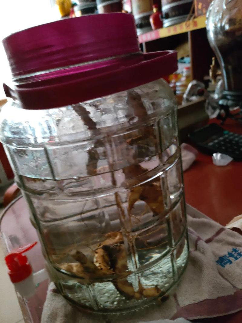 白酒泡鲫鱼可以治风湿