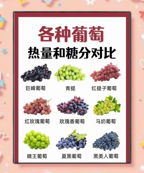 有风湿的人能吃葡萄吗