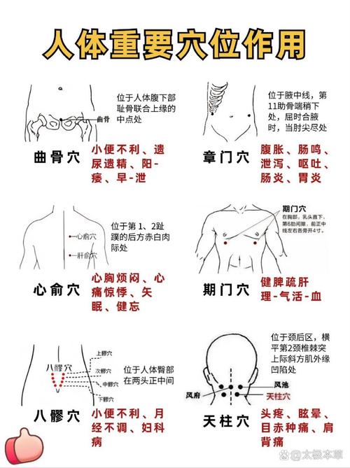 身体需要保温的穴位
