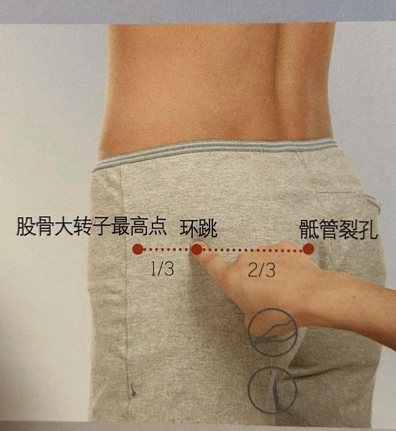 环跳穴位位置图详解