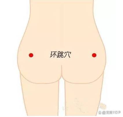 环跳穴位位置图详解