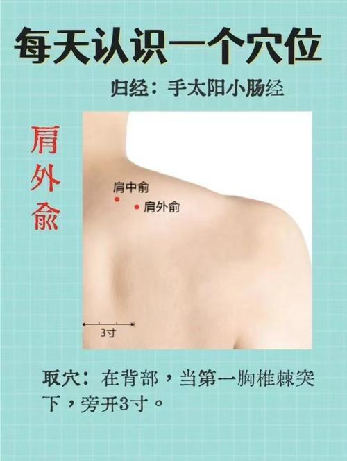 肩部经脉穴位 归经