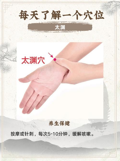 中府穴位.太渊穴图