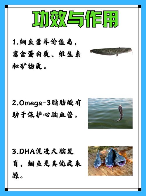 类风湿的人可以吃鱼吗