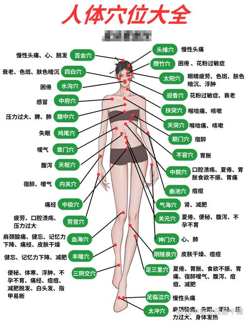 人体所有经络和穴位