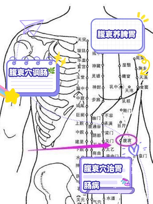 肚脐痛按摩什么穴位