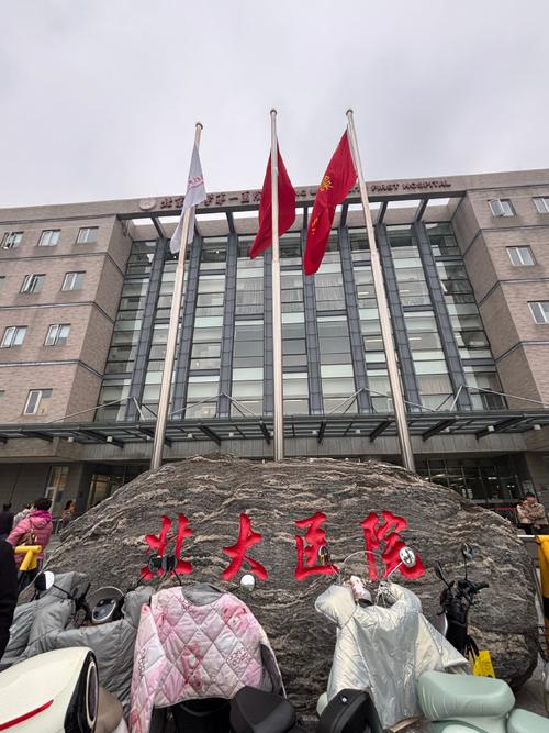 北京治脑梗的最好医院