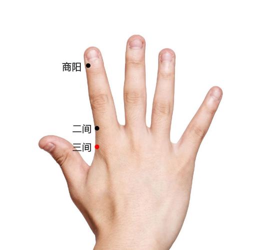 醒脑提神按什么穴位