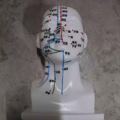 头痛的针灸治疗穴位