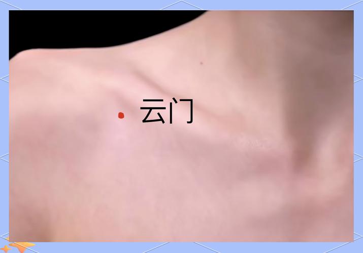 云门中府穴位位置图