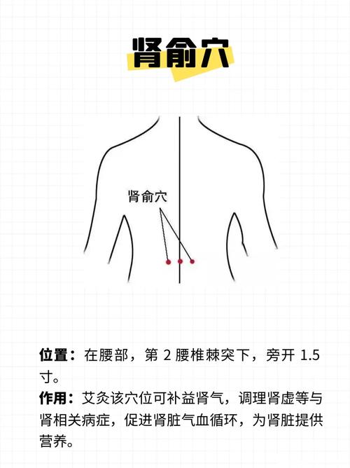 艾灸治疗早泄的穴位