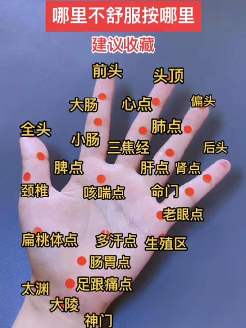 夏天手心热干 穴位