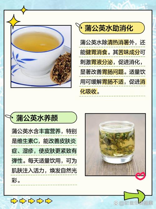 风湿可以喝蒲公英水吗