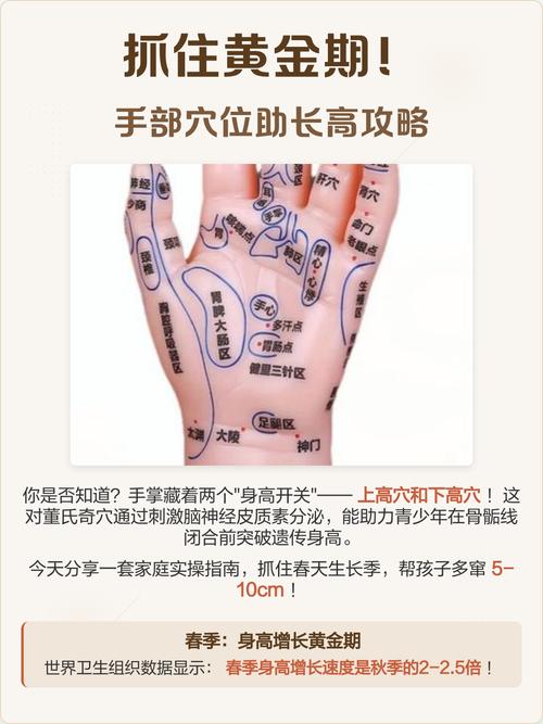 灸哪个穴位可以长高