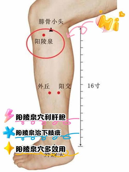 尿酸高艾灸哪个穴位
