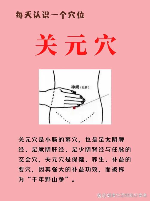 关元穴下面什么穴位