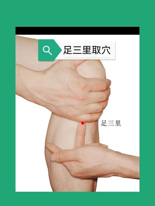 按摩哪个穴位降尿酸