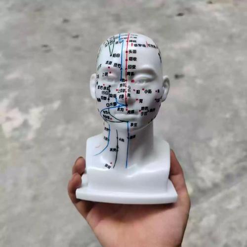 小儿常用头部穴位图