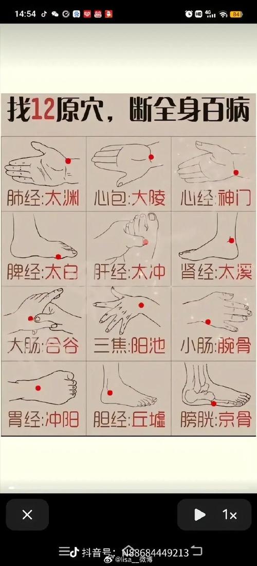 小脚趾外侧什么穴位