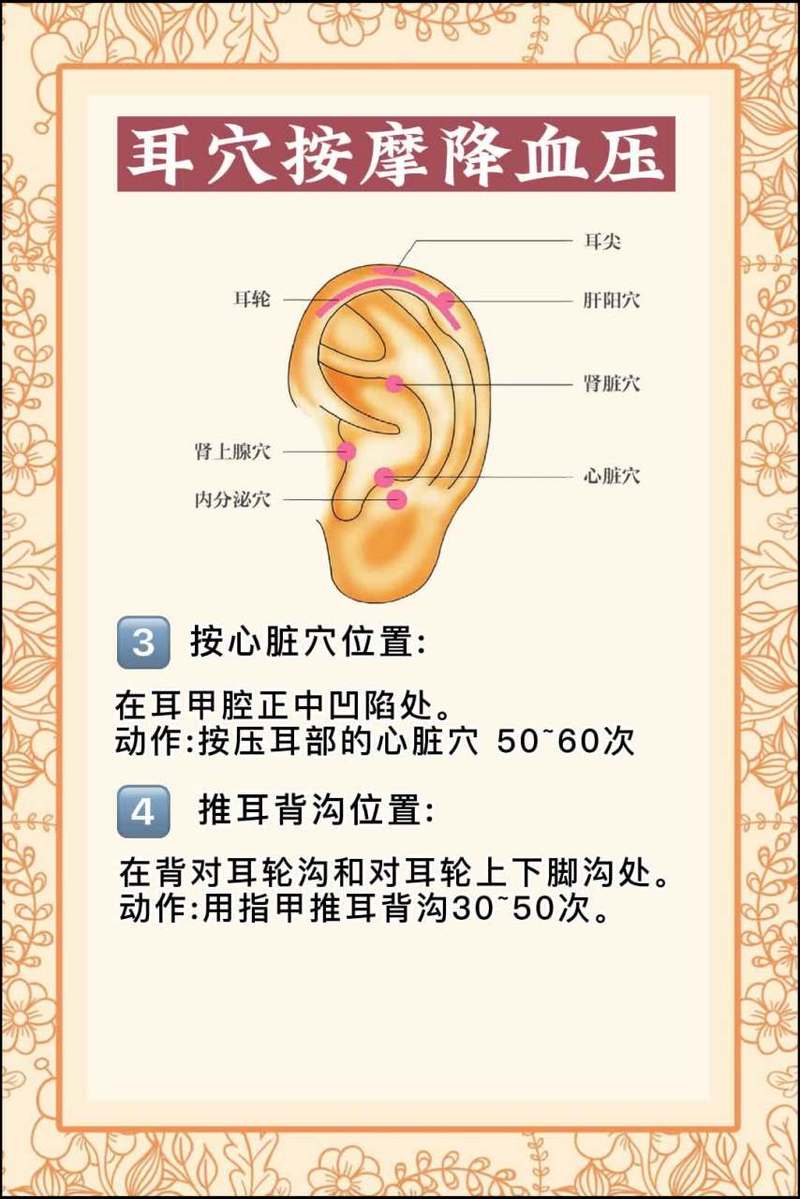 高血压要按什么穴位