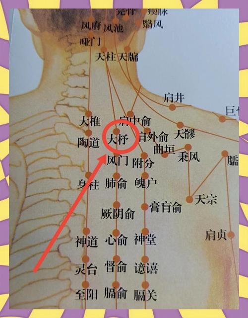 气管不好按什么穴位