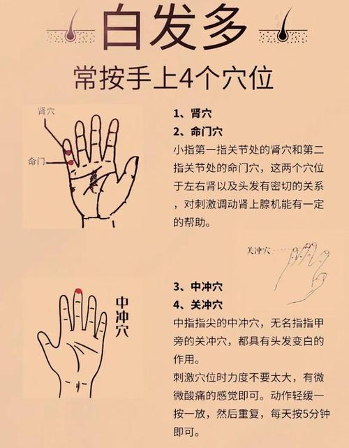 饮食汗按摩哪些穴位