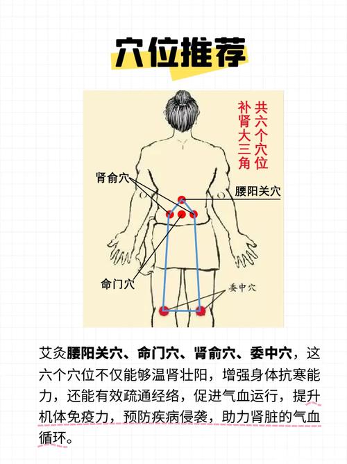 男人壮阳有哪些穴位