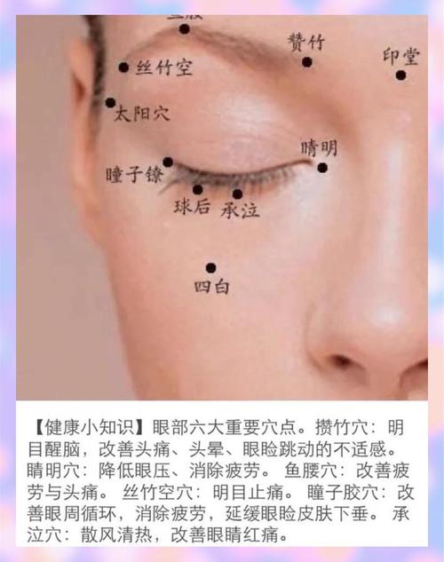 眉毛尾端的穴位主管