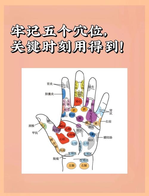 按摩那些穴位反应大