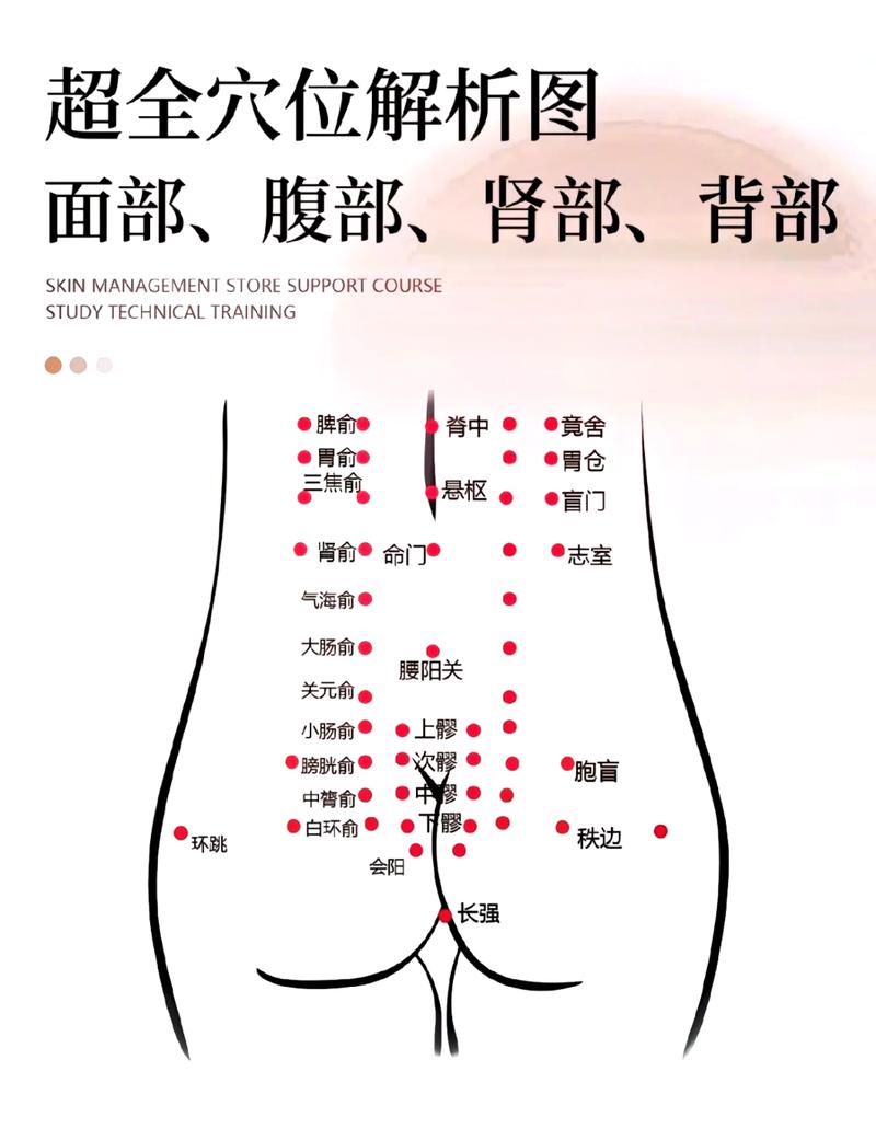 人体腰部有什么穴位