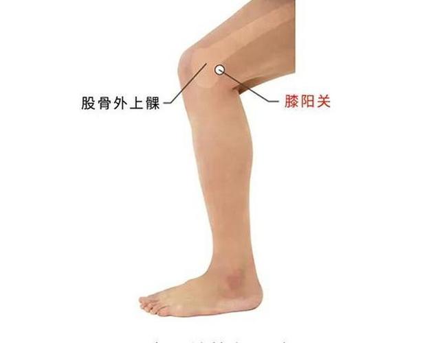 腿疼治疗用什么穴位