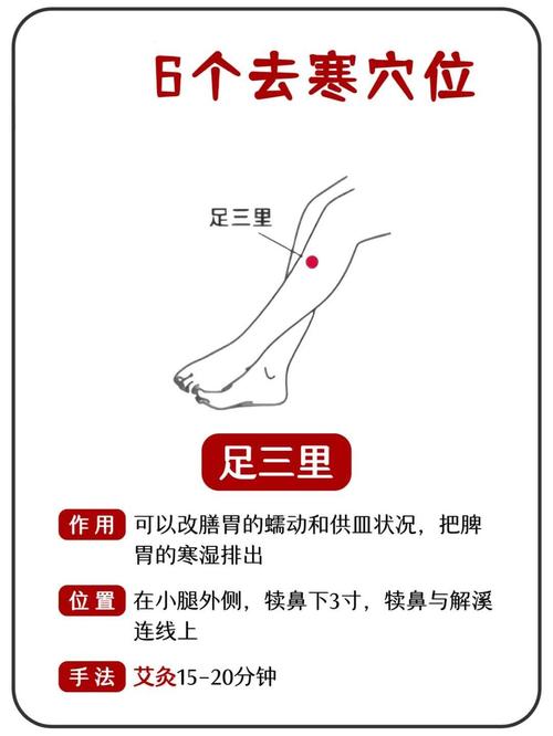 小腿寒凉贴什么穴位