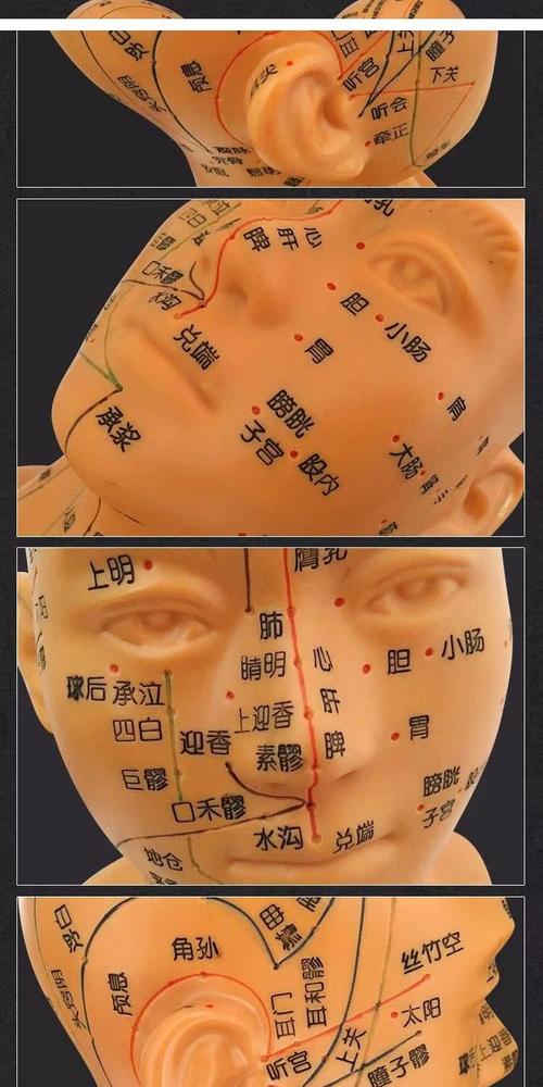 头上可以艾灸的穴位