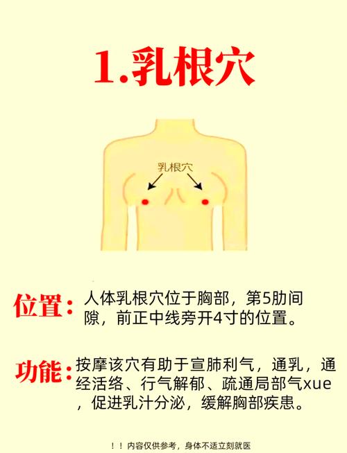 女性乳房穴位位置图