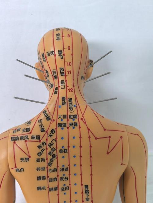 颈部什么穴位要注意