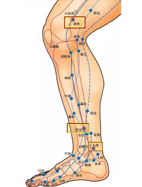 大腿寒艾灸什么穴位