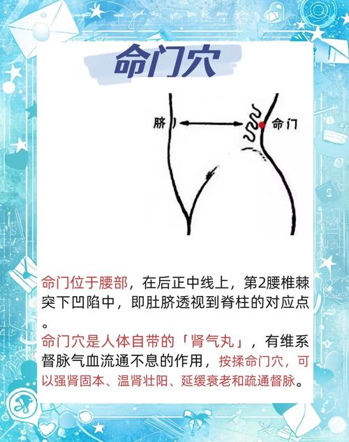 中医按摩命门穴位置