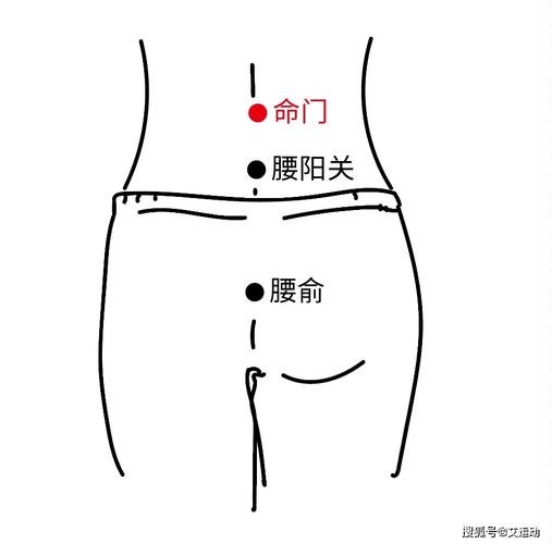 艾灸后背腰疼的穴位