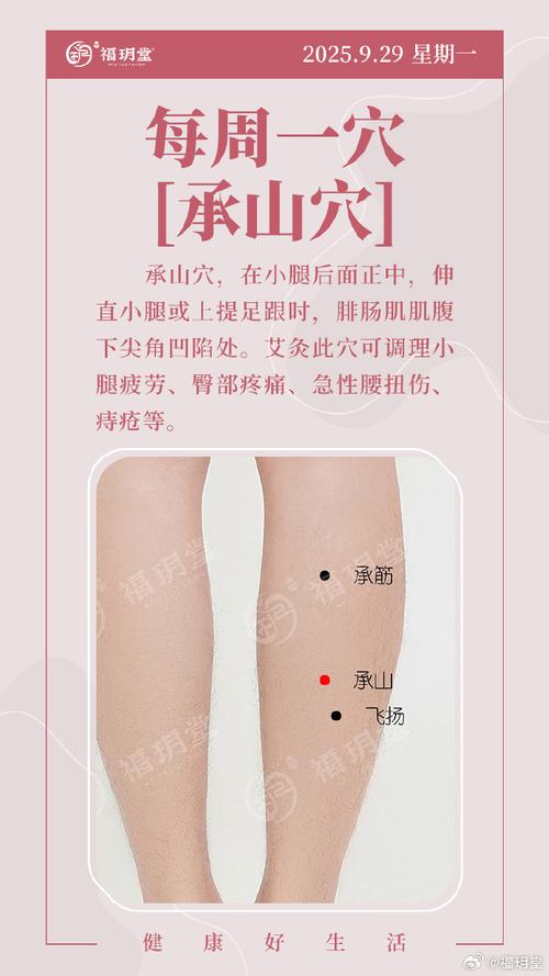 左腿承山外侧穴位图