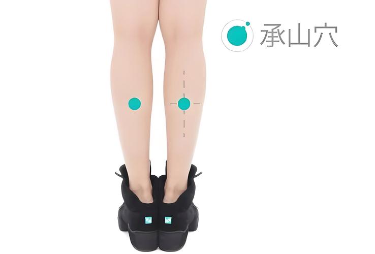 左腿承山外侧穴位图