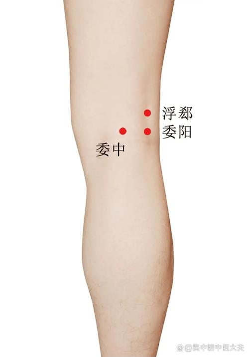 膝关肿痛怎么炙穴位